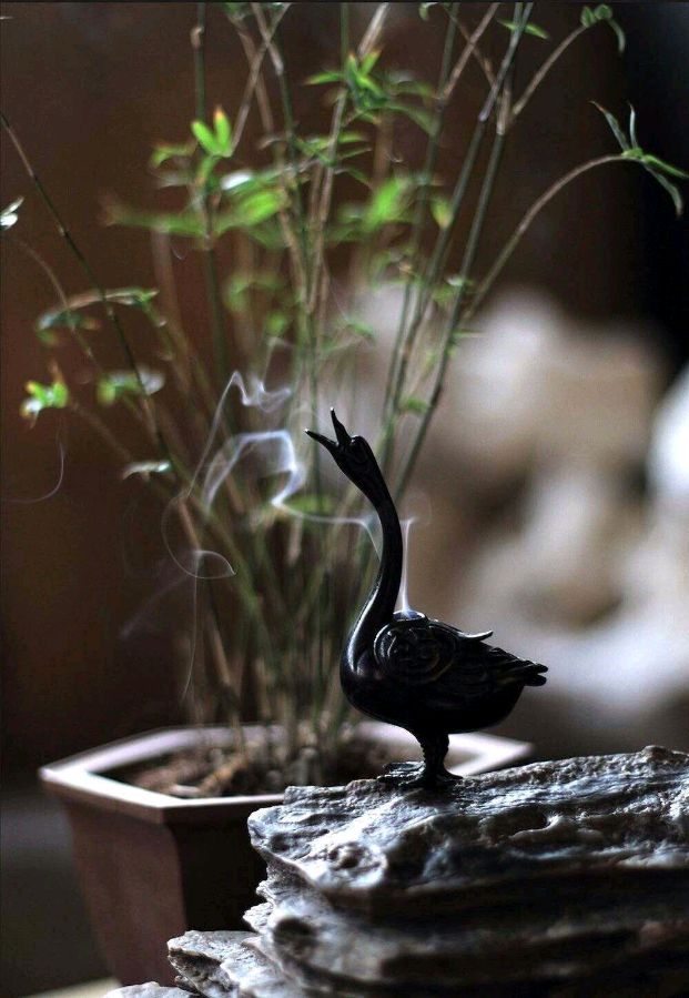 西江月·步韵辛弃疾《如今花落更流年》（柳永体）词：和天悦色（宝庆）京津沪头条