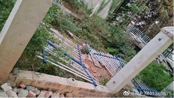 案例分享:合法土地被占,求助无果,来看湖南李先生的呼吁(图2)