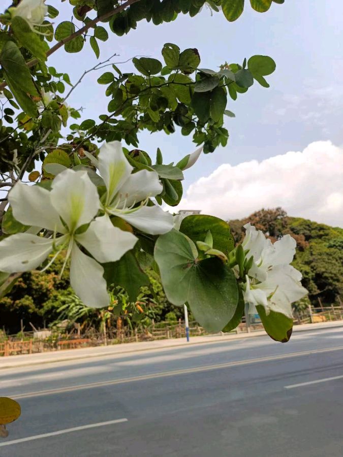 联机全球发布吴华龙作品欣赏（图13）
