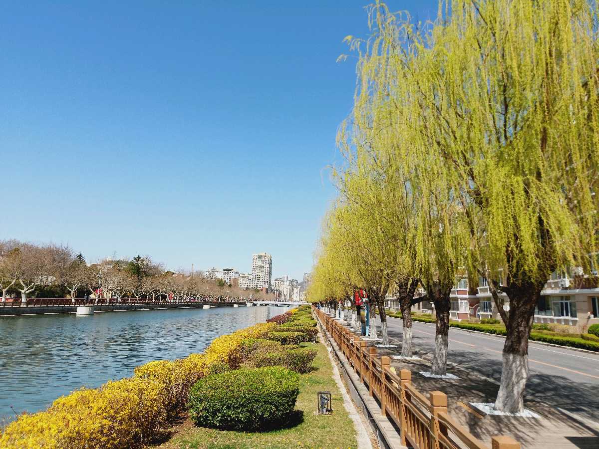 【原创】金蘭:赏春光明媚、春花绚丽(七律六首、词二首)(图7)
