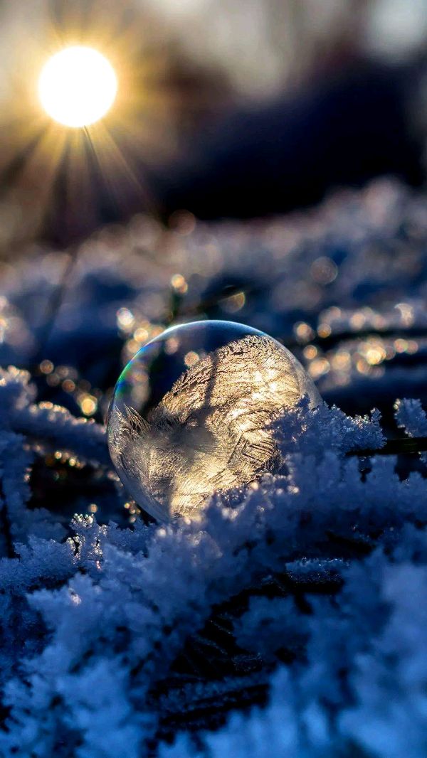 弘华朗诵【致永恒的你】作者/出水芙蓉（图4）