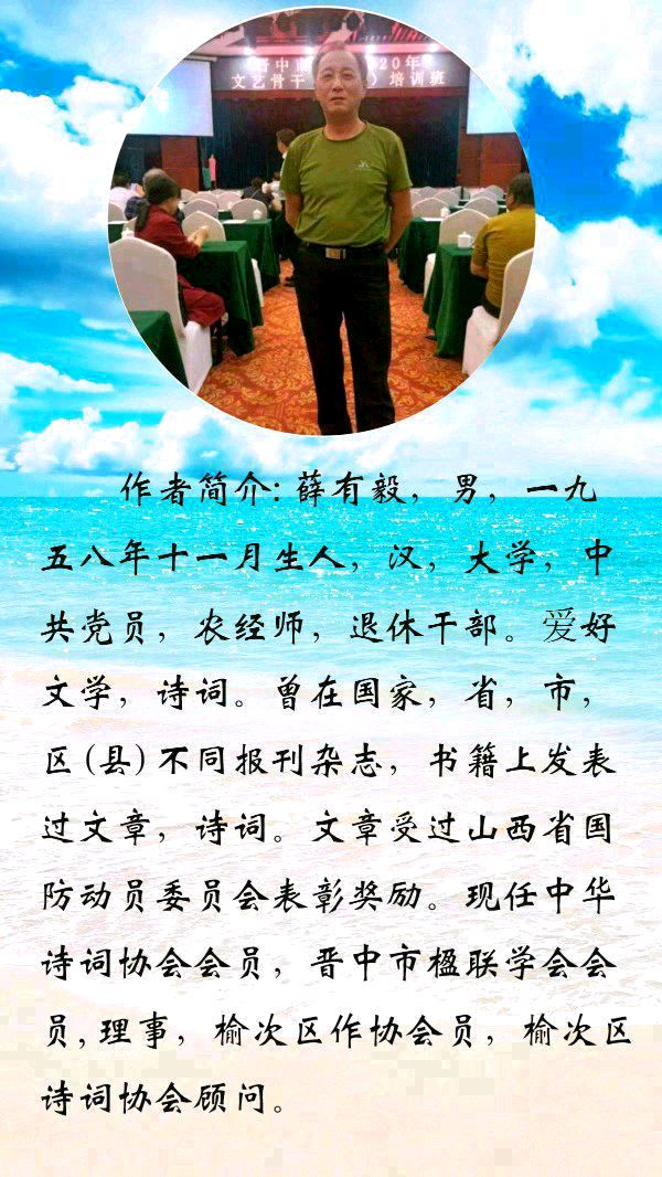 中华诗艺黑龙江分社●诗书画微刊(第48期)(图44)