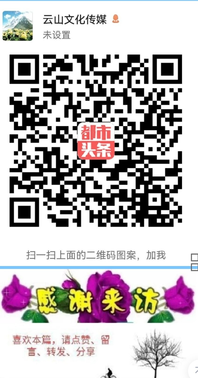 王敬平/诗词赏析(图7)