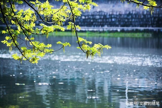 《清明雨》作者:孤独与快乐【主播:长弓雅士】用声音传递温暖以诵读致敬人生♬（图5）