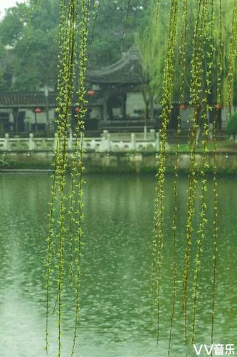 《清明雨》作者:孤独与快乐【主播:长弓雅士】用声音传递温暖以诵读致敬人生♬（图6）