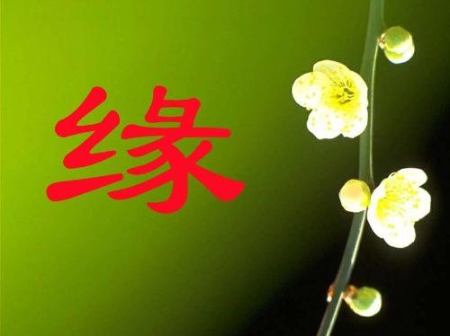 《泪水相遇就是奔向麦田的河》作者:狄安娜‖主播:刘树清【桃源国际诗歌集团】桃源♬ 馨声（图4）