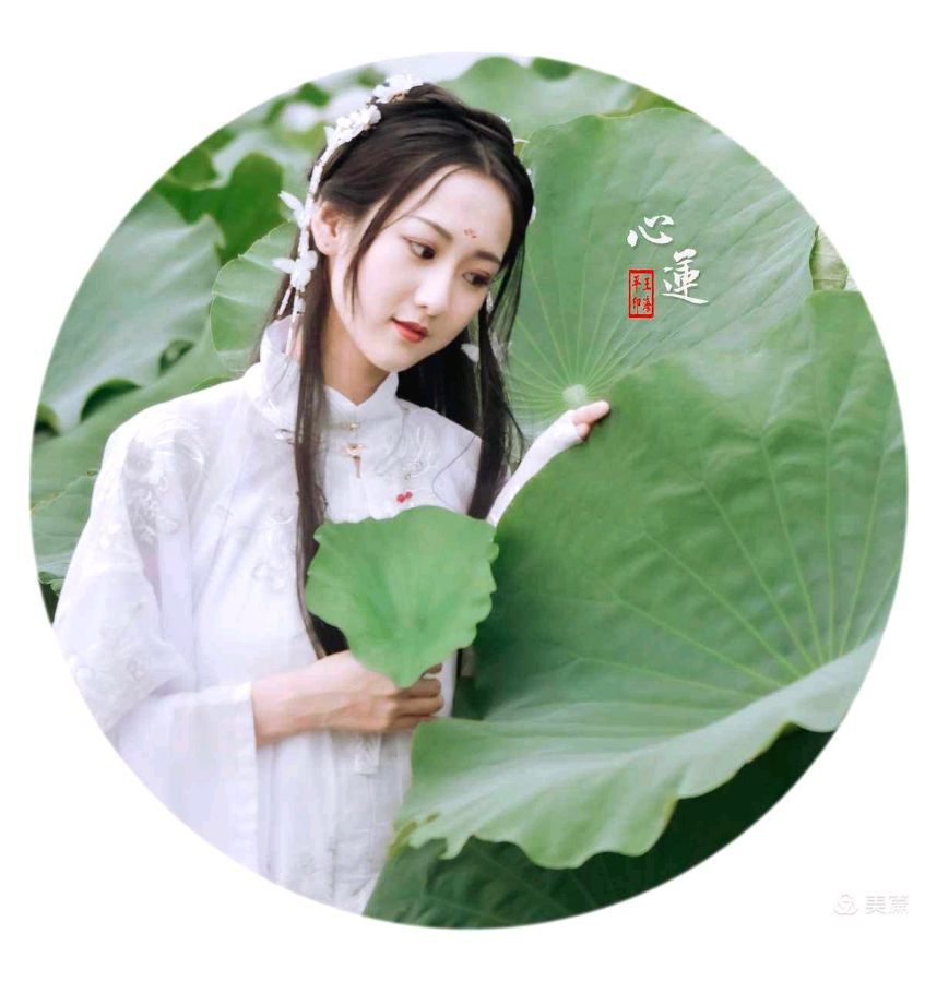 《阿莲》—和陂北阿莲‖作者:妩烟【主播:燕子】【桃源国际诗歌集团】用声音传递温暖以诵读致敬人生♬（图5）