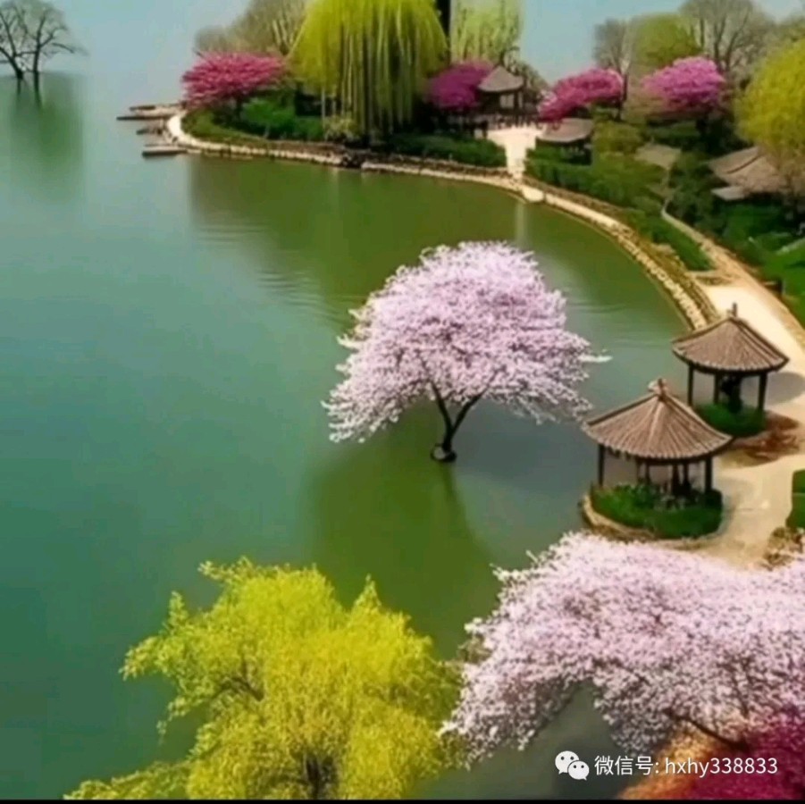 紫菱菱朗诵【春天的告白】作者/蒋永辉（图8）