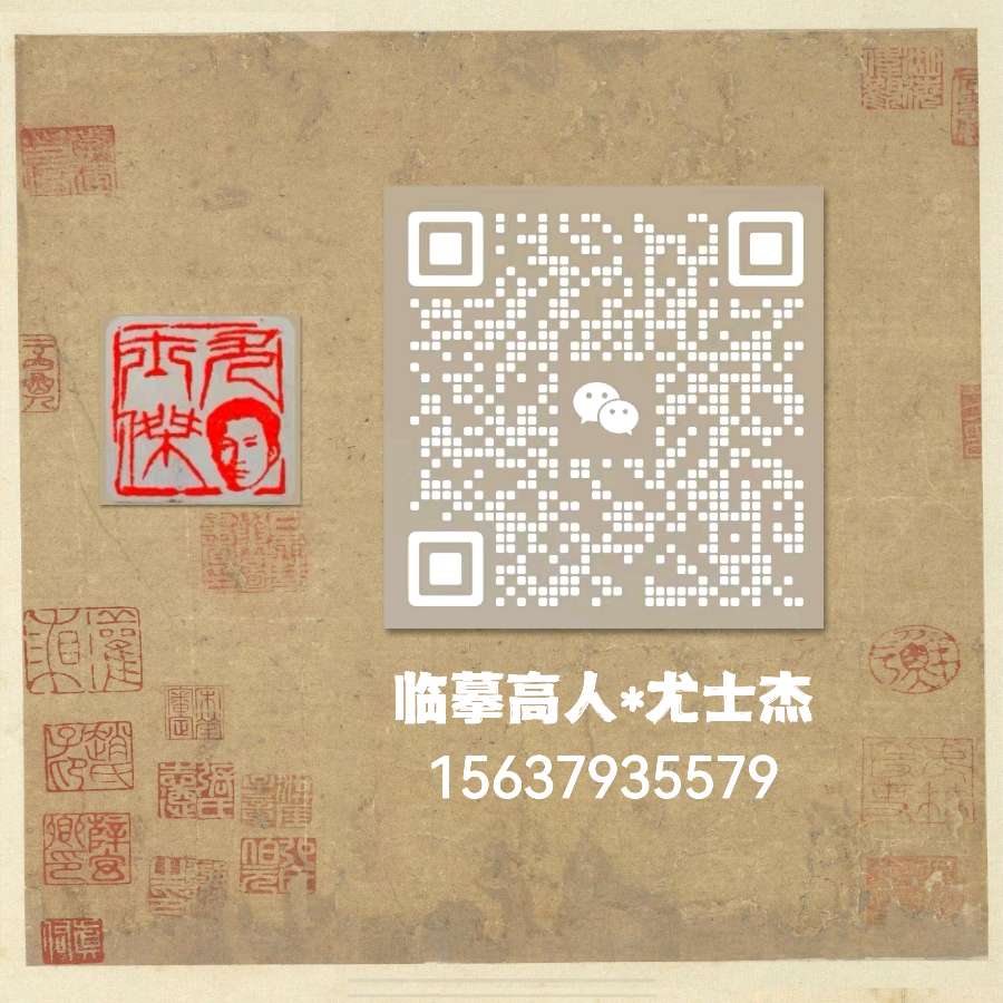 北京故宫九龙壁与我的洛阳十三朝皇帝印相结合（图4）