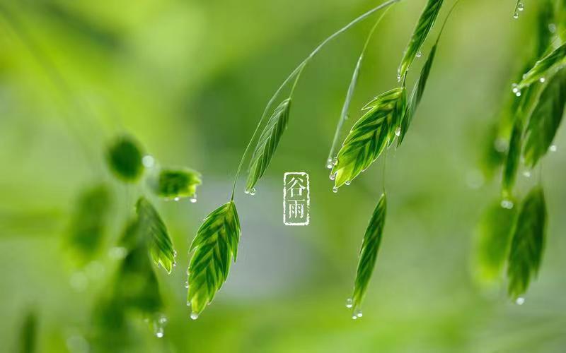 荐赏：《春之赋》作家诗人周镇添-中华诗经阁编委兼荣誉顾问（图7）