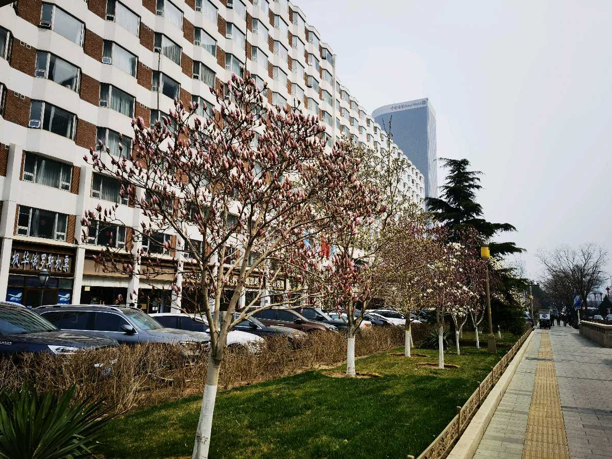 丹霞二社 群英荟萃·踏青（图13）