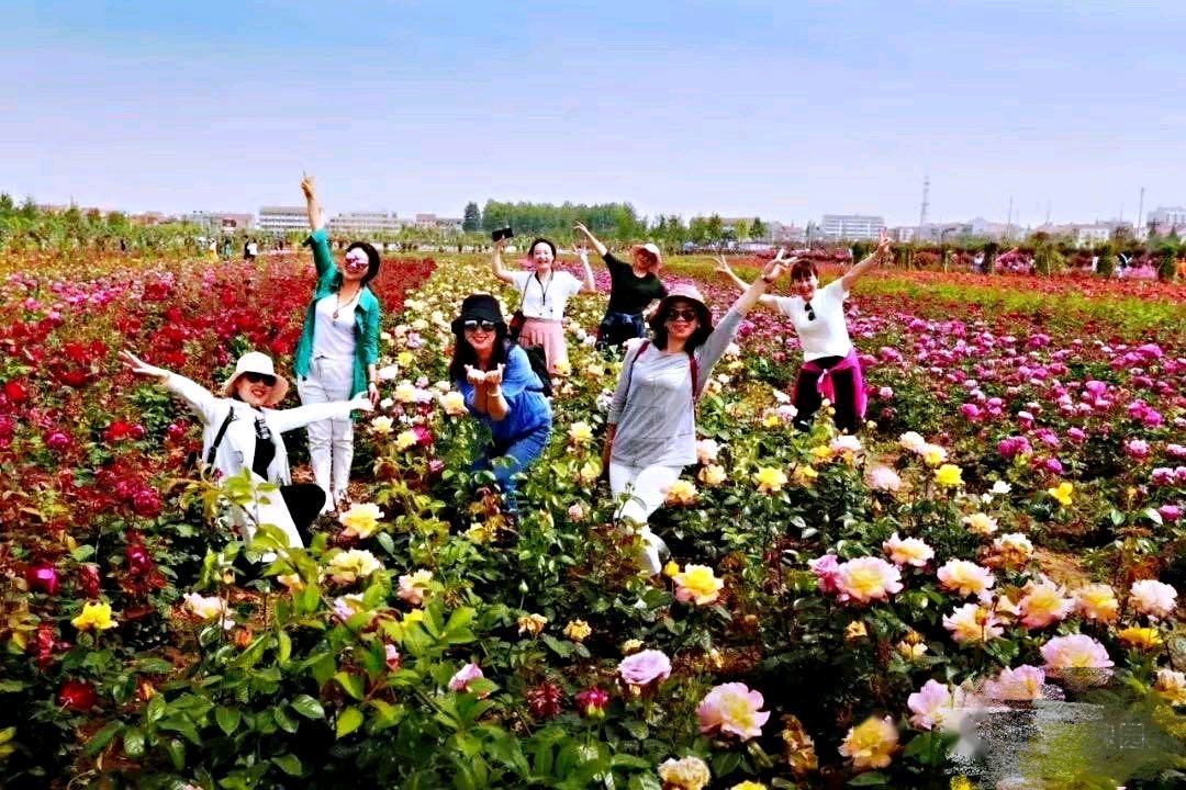 【佳作美诵】《我的人间四月天》作者/孟宪法 诵读/木子【花雨馨声】有声文学平台【第303期】（图7）