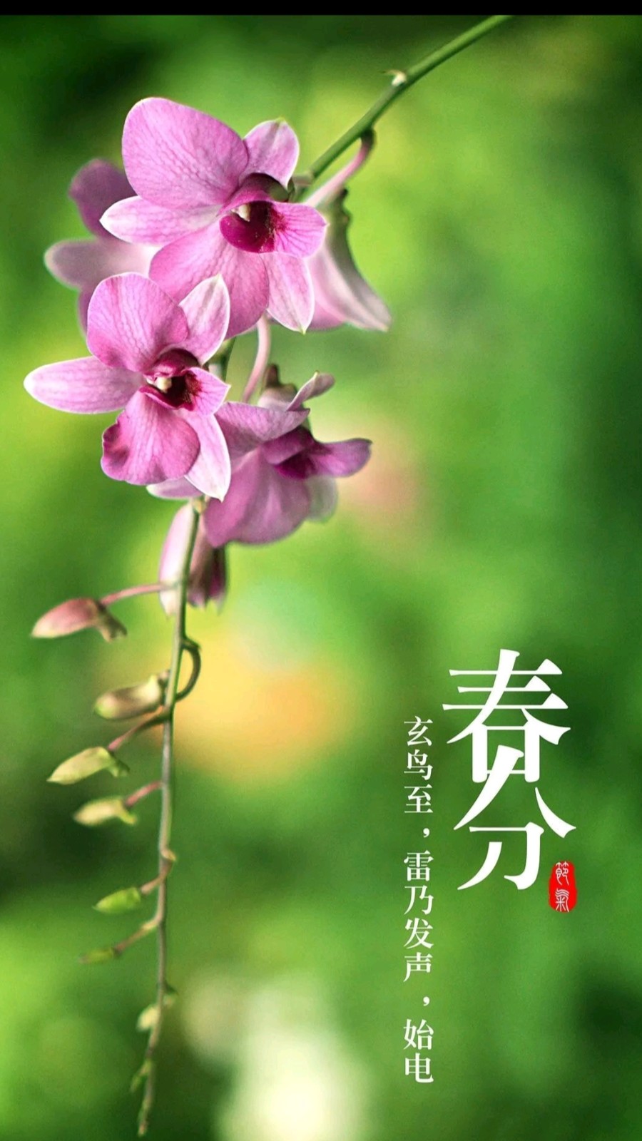 《九江文学社：北京头条》洪新爱女士（江西婺源）近期作品选登（图2）