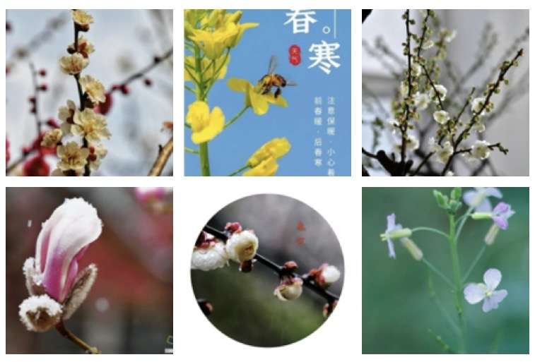 张晓峰（重庆）诗词小辑【冰心文化传媒】主编 冰心（图5）