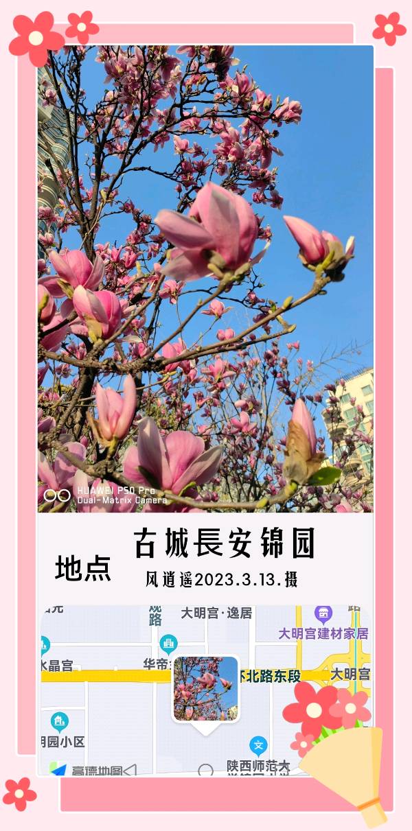 【✍锦园·随記】S（图7）