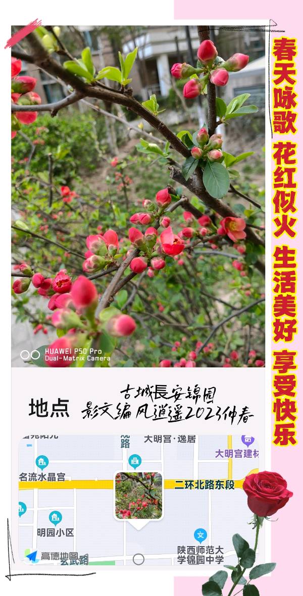 【✍锦园·随記】S（图8）