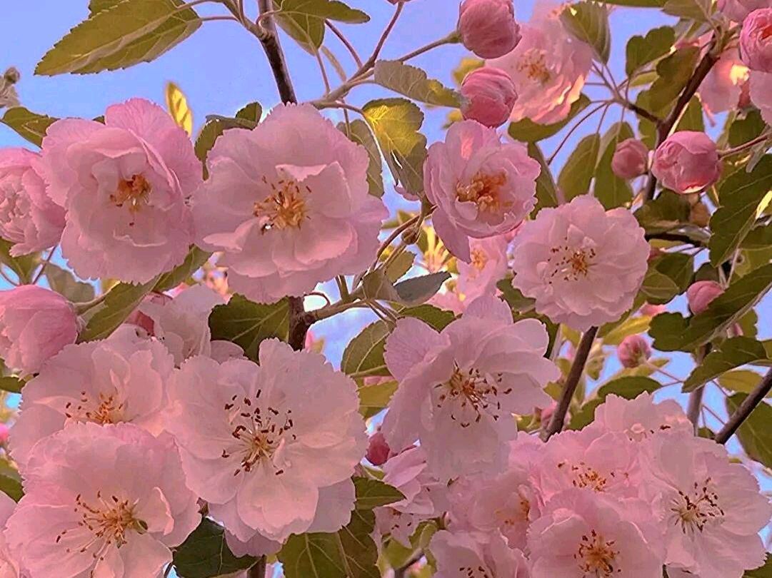 心尘文艺 第880期(图2)