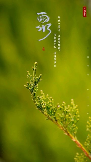 牛丽君朗诵【草色遥看近却无】作者/莲果（图6）