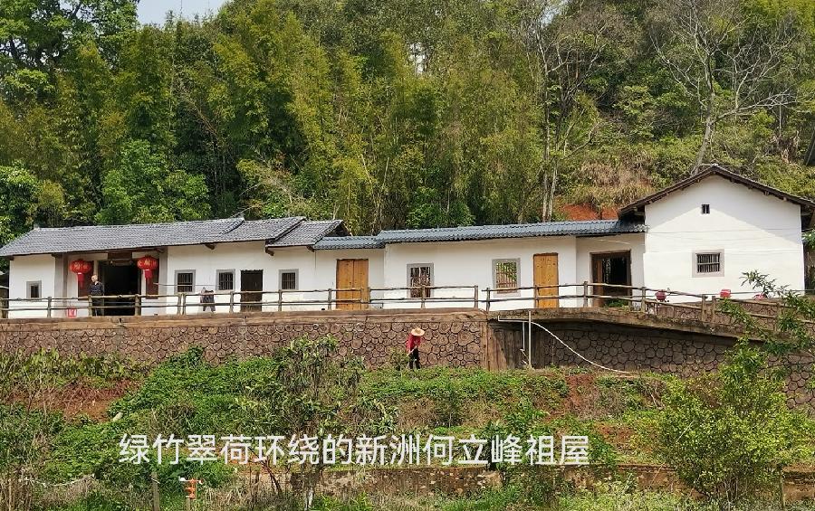 《优秀散文》《九江文学社：有声文学》《名家专刊》李小燕老师优秀散文欣赏《新洲游记》精英主播/溢彩轩（图2）