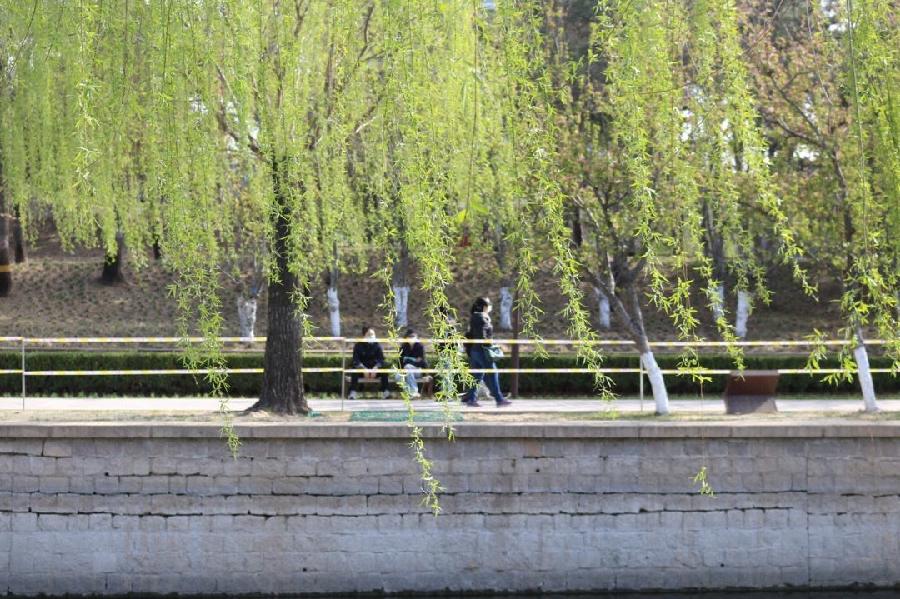 【新诗大观】七绝•芦花（诗三首）||文/夏荷（图4）