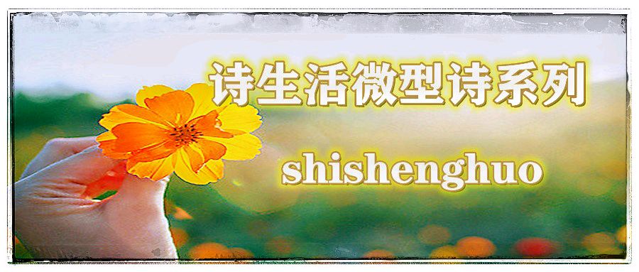 【上海头条】诗与评21期‖作者：午后