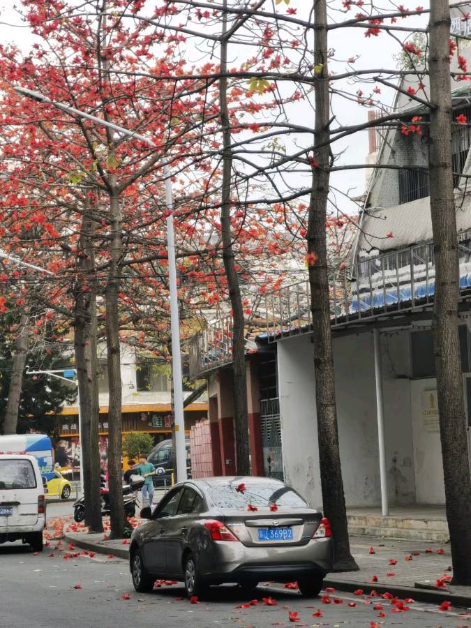 中华诗艺黑龙江分社●诗书画微刊(第55期)（图13）