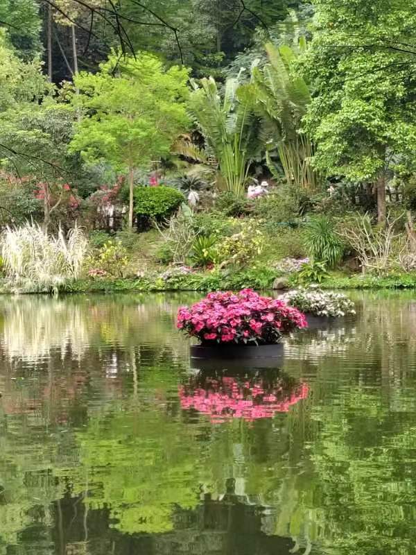 七绝~大湾区春展主会场(外三首)文/詹成(图4)