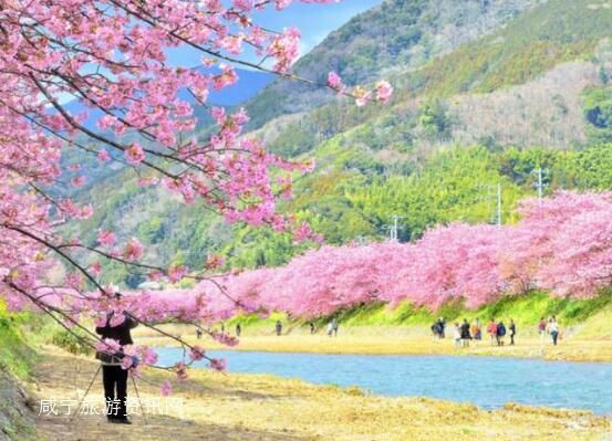 钱远福:《浣溪沙•大幕山赏樱花》(外九首)(图2)