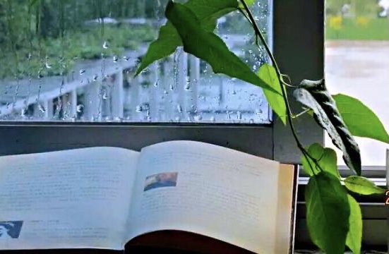 【新诗大观】听雨||文/东方星辰（成都）