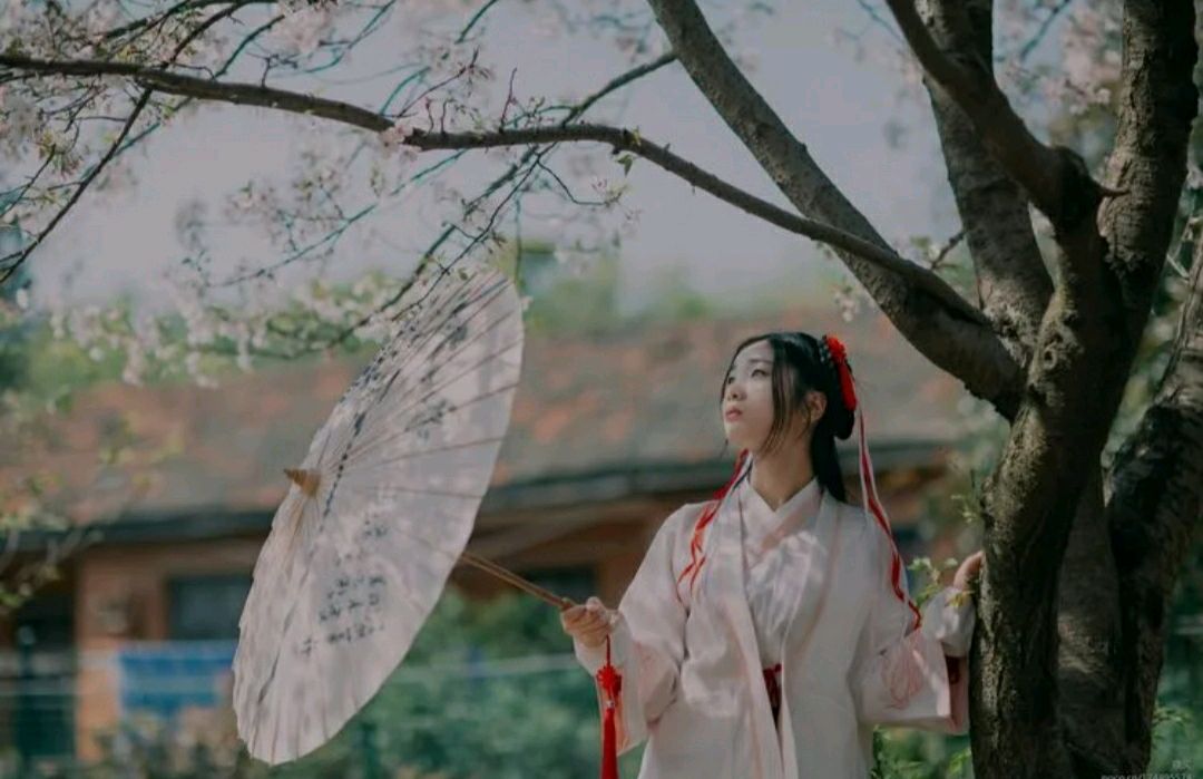 【华夏周刊】第137期合辑