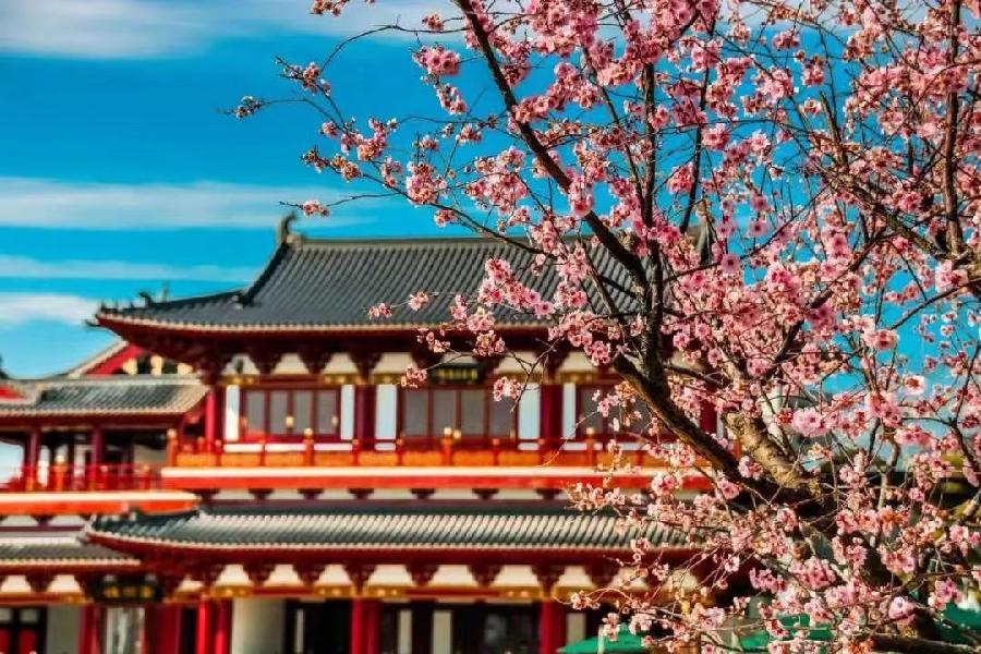 国风上海社第《二十八期》诗刊—上海头条（图26）