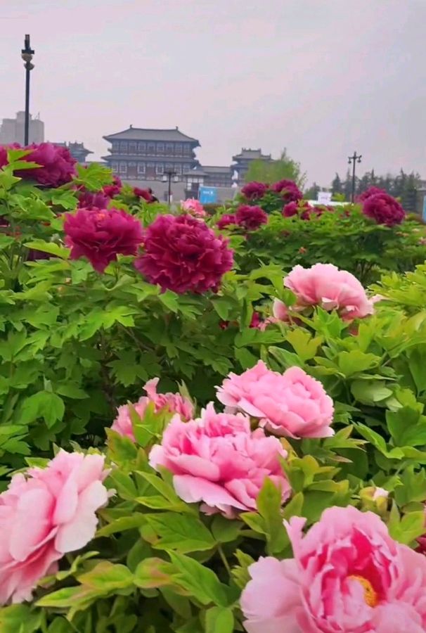 一曲洛邑古城 原作/梁立锋（图3）