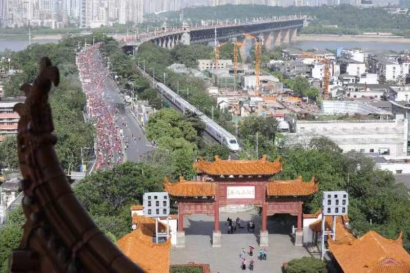 汉马,武汉人的骄傲,作者:周智敏