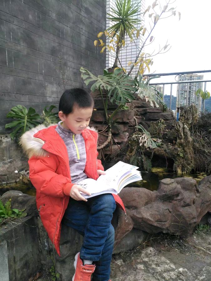 朱伯轩新近诗歌四首 作者：朱伯轩 京津沪头条