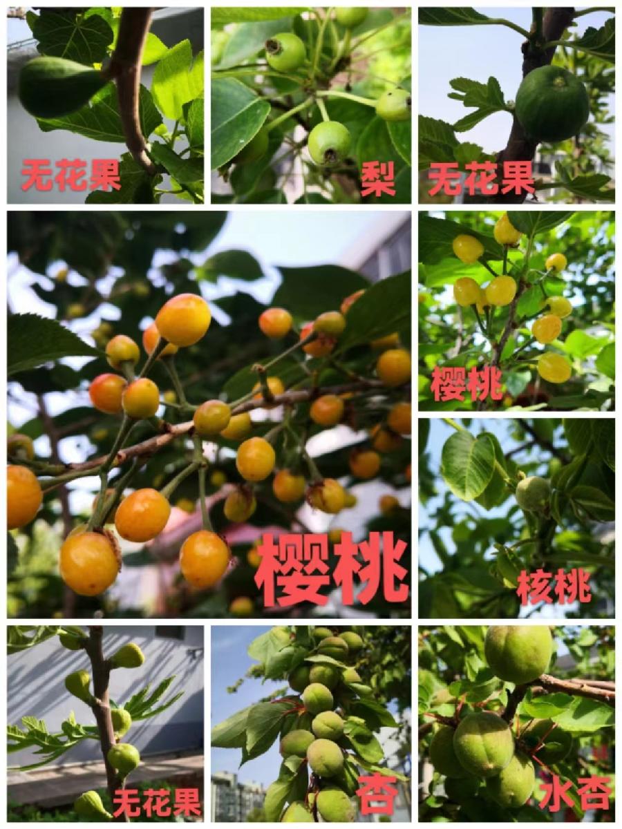 《九江文学社：北京头条》《世界名家》沈志昂先生近期美文集萃欣赏（图10）