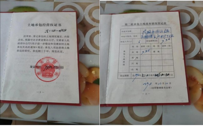 案例分享:村民合法土地被侵占,来看王庄村村民的呼吁(图2)