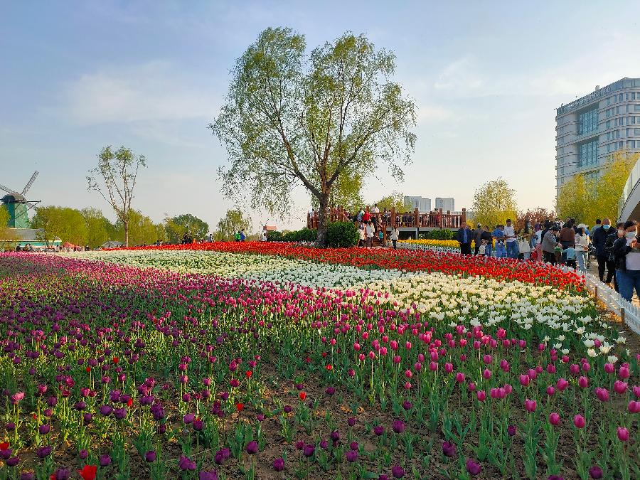 赞花(组诗)文/严宗碧(图2)