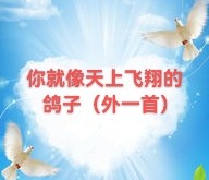 丁志明：你就像天上飞翔的鸽子（外一首）