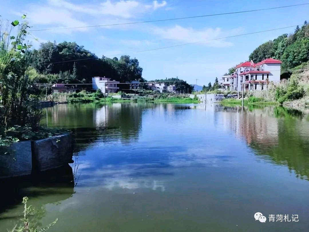 我的乡村 作者：谭纯朴，审核，北京头条编委。编号，010.35645528