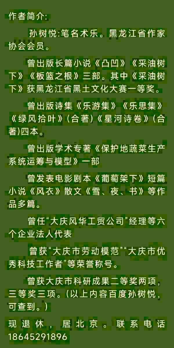 中华诗艺黑龙江分社●诗书画微刊(第58期)(图71)