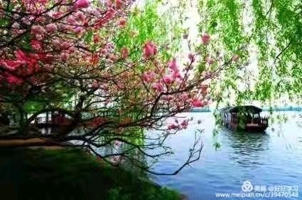 你是我的思念 文/南雁北飞（图2）