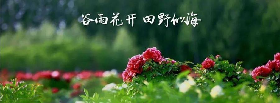 【经典推荐】杨一之//谷雨茶山｛外二首｝（图2）