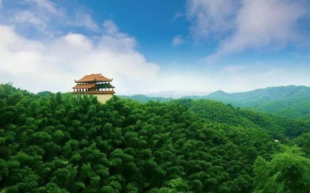 【经典推荐】杨一之//谷雨茶山｛外二首｝（图8）