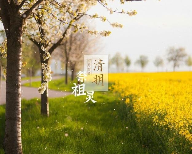 【重磅推出】鲁坡//春天遐想系列作品展｛外十八首｝（图5）