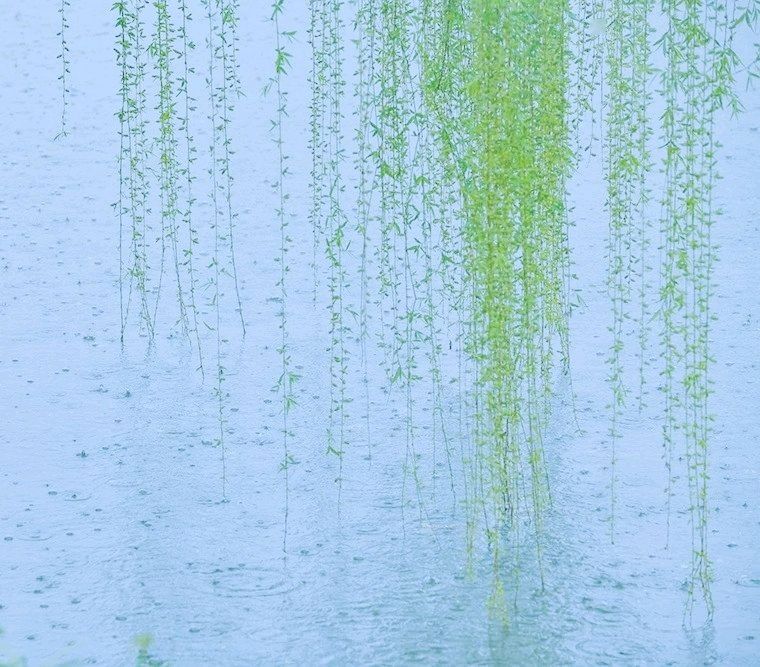 王茹诗词专辑第165期(图38)