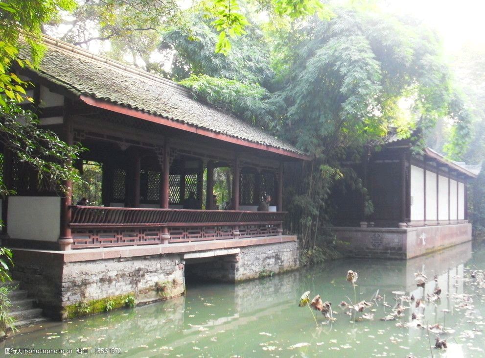 杜甫草堂吟怀 张卫红（徽县）【冰心文化传媒】主编 冰心（图6）