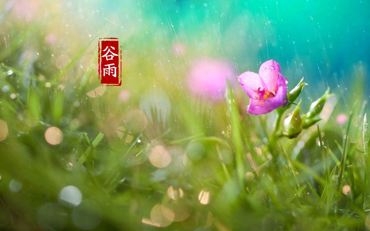 【明心文学·谷雨特刊】播种一个人生 作者/心灵活水 诵读/开心是福（图3）