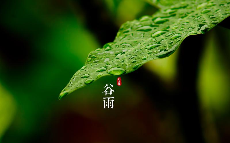 《桃源国际诗歌谷雨特刊》作者:桃源诗友【桃源国际诗歌集团】（图13）