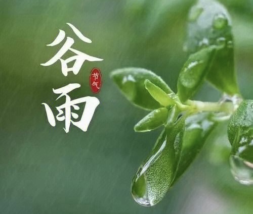 【新诗大观】谷雨||文/宋茂林（河北）（图2）