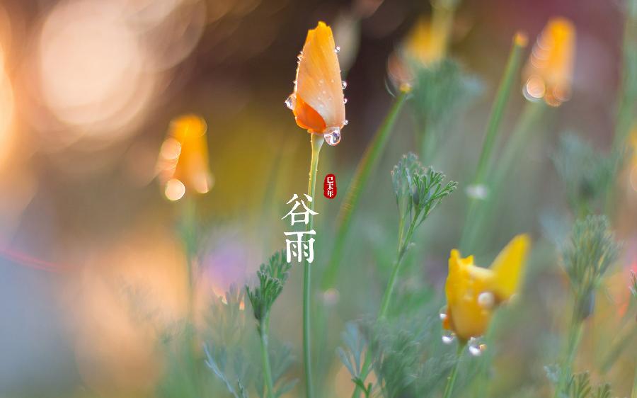 【新诗大观】三月初一谷雨（外一首）||文/李想平（甘肃）